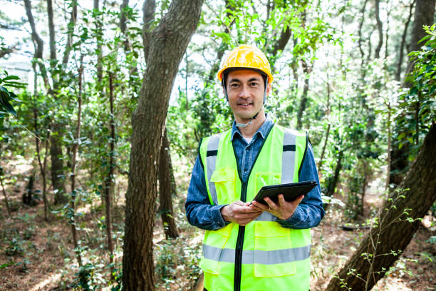 Auditoria e perícia Ambiental 1